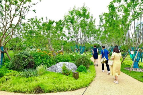 一條名為“幸?！钡牡缆?串起西安綠色長廊的樹木種植經營