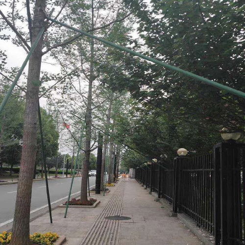 北京玻璃鋼樹木支撐架銷售操作流程